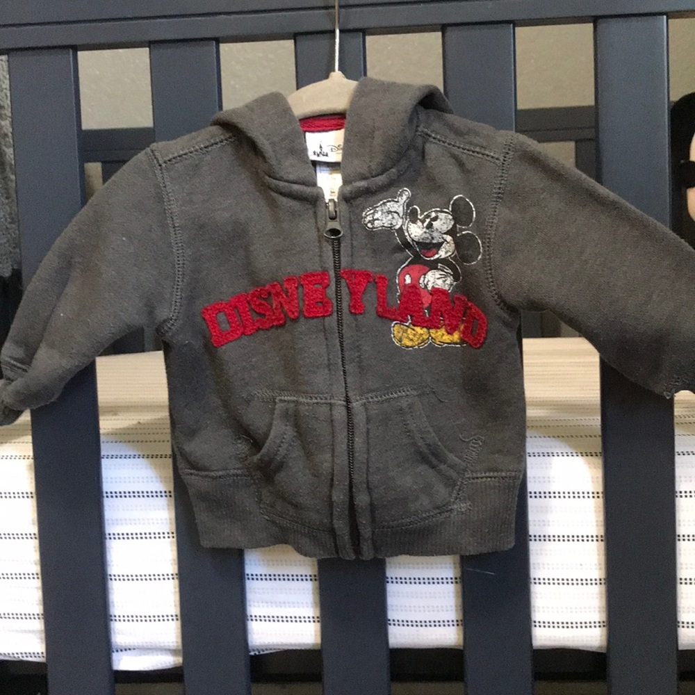 Disneyland hoodie